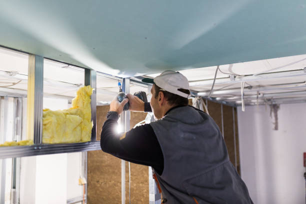 Types of Insulation We Offer in Bridgeview, IL