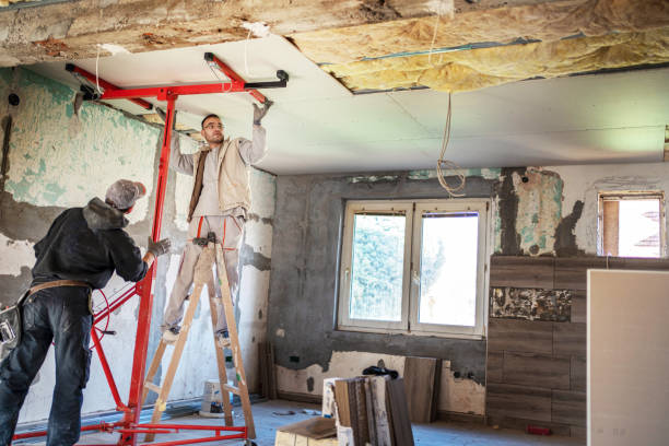 Best Cellulose Insulation in Bridgeview, IL