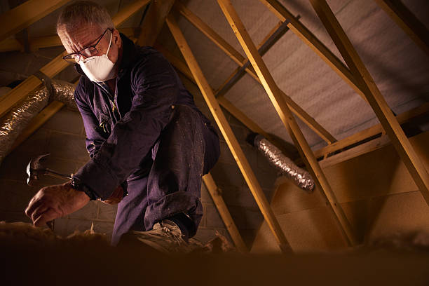 Best Spray Foam Insulation in Bridgeview, IL